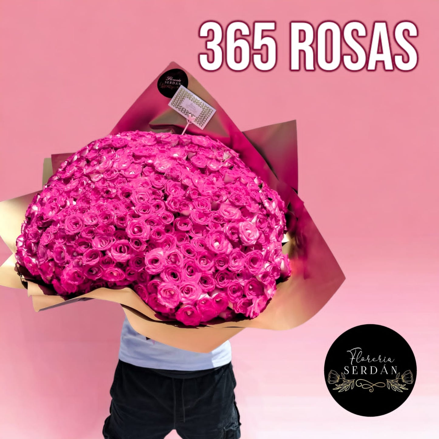 Ramo de 365 Rosas