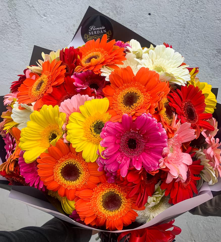 Ramo de 100 gerberas